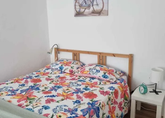 Pateo Saloio